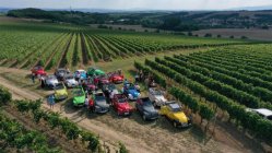 Kačice pristáli na hrade Modrý Kameň