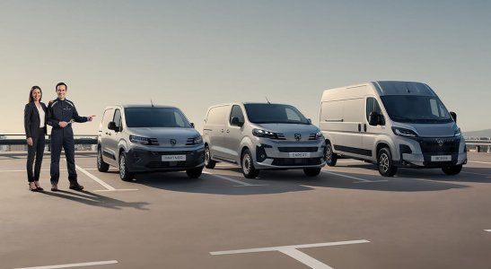 PEUGEOT SERVICE LEGEND