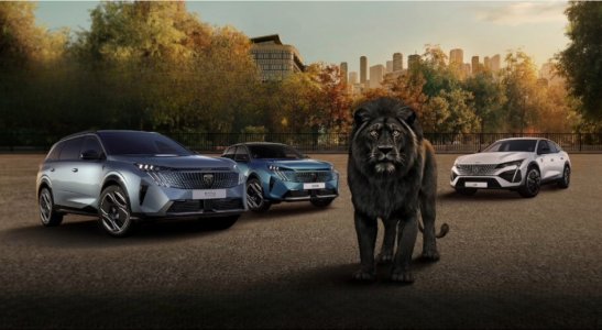 Peugeot zásah do čierneho!