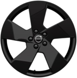 Continental 19&rdquo; - 80069556