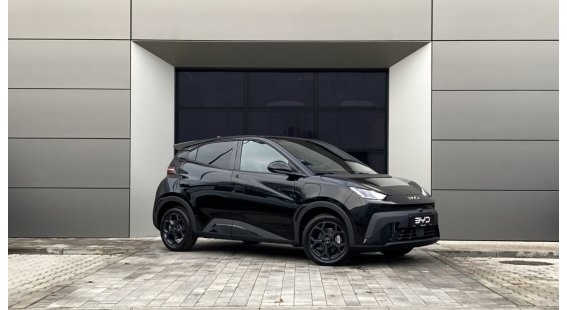 BYD Dolphin Elektromotor Active