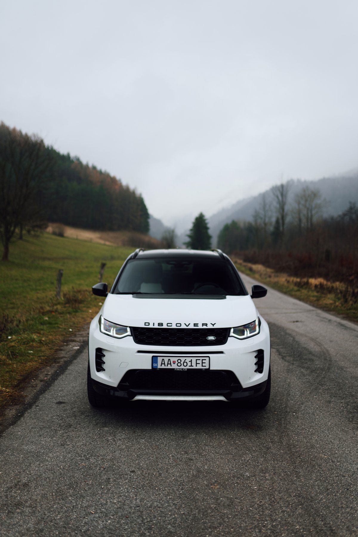 Land Rover Discovery Sport 2.0D I4 MHEV AWD R-Dynamic SE